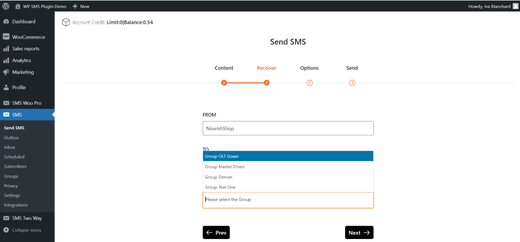 mass texting service on WordPress